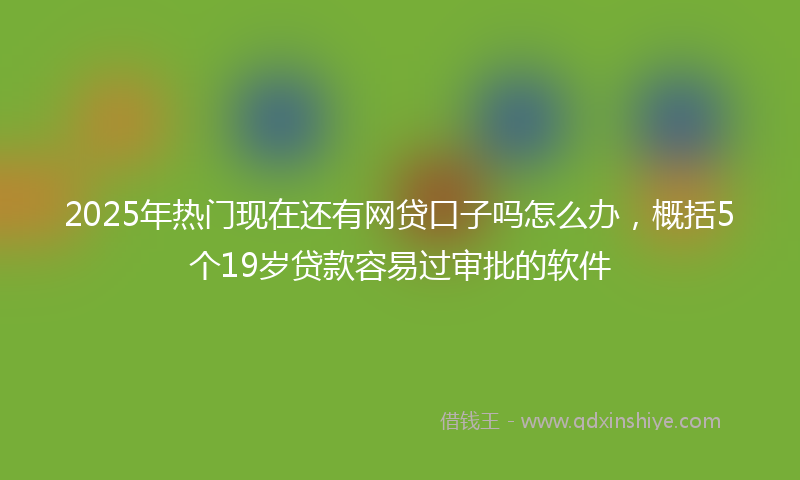 2025年热门现在还有网贷口子吗怎么办，概括5个19岁贷款容易过审批的软件