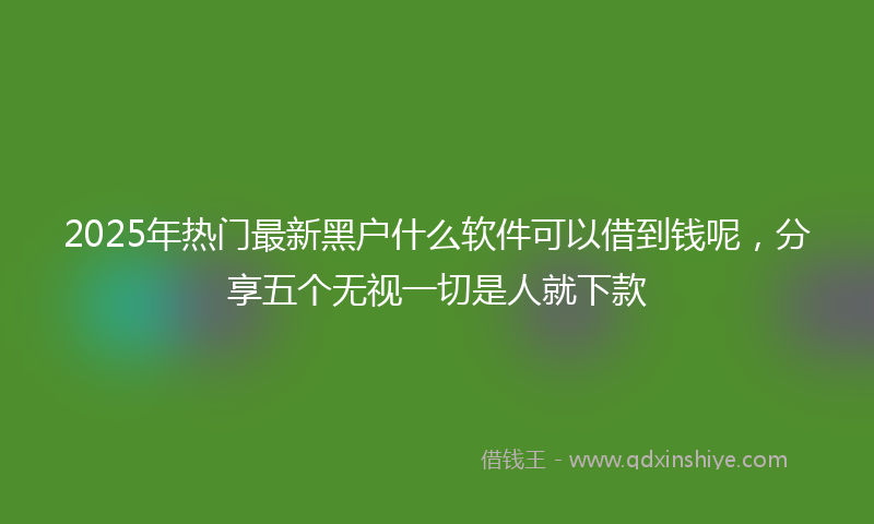 2025年热门最新黑户什么软件可以借到钱呢，分享五个无视一切是人就下款