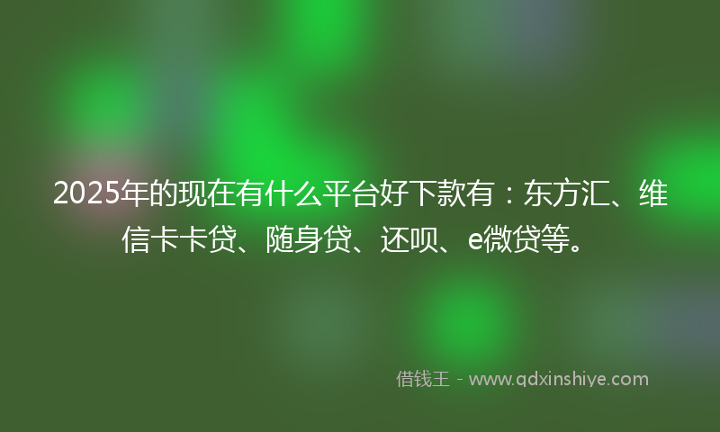 2025年的现在有什么平台好下款有：东方汇、维信卡卡贷、随身贷、还呗、e微贷等。