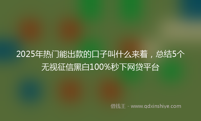 2025年热门能出款的口子叫什么来着，总结5个无视征信黑白100%秒下网贷平台