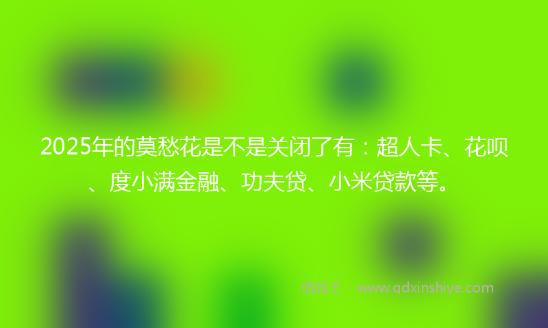 2025年的莫愁花是不是关闭了有：超人卡、花呗、度小满金融、功夫贷、小米贷款等。