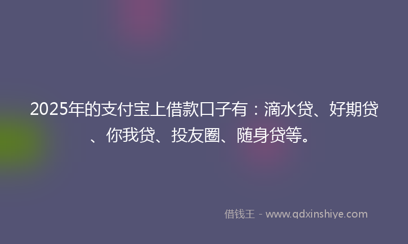2025年的支付宝上借款口子有：滴水贷、好期贷、你我贷、投友圈、随身贷等。
