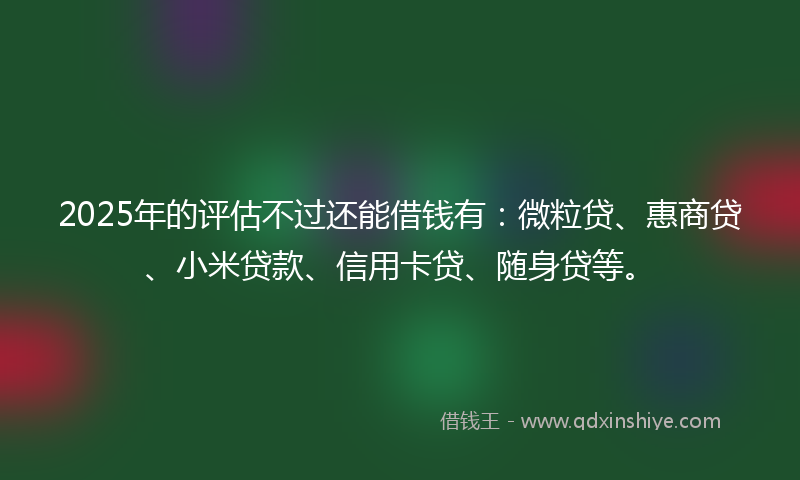 2025年的评估不过还能借钱有：微粒贷、惠商贷、小米贷款、信用卡贷、随身贷等。