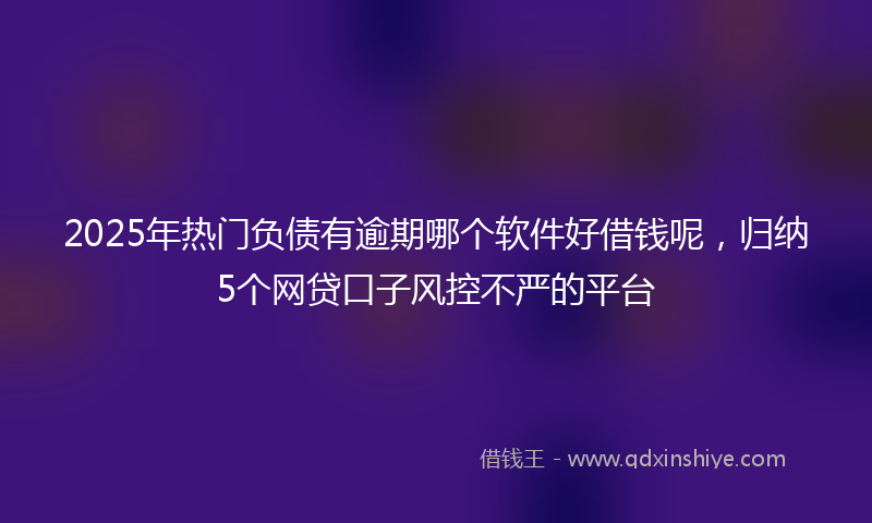 2025年热门负债有逾期哪个软件好借钱呢，归纳5个网贷口子风控不严的平台