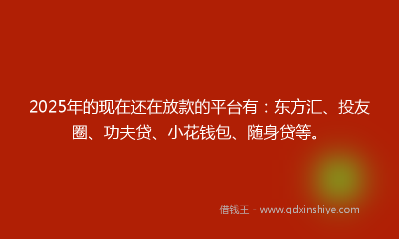 2025年的现在还在放款的平台有：东方汇、投友圈、功夫贷、小花钱包、随身贷等。