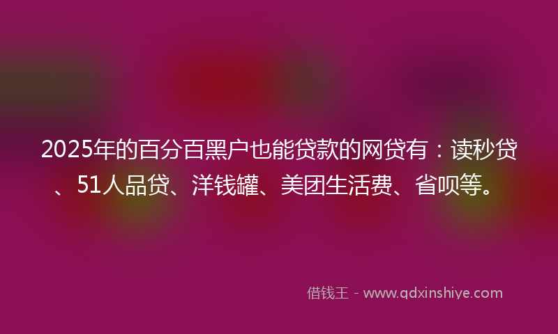 2025年的百分百黑户也能贷款的网贷有：读秒贷、51人品贷、洋钱罐、美团生活费、省呗等。