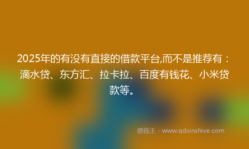2025年的有没有直接的借款平台,而不是推荐有：滴水贷、东方汇、拉卡拉、百度有钱花、小米贷款等。