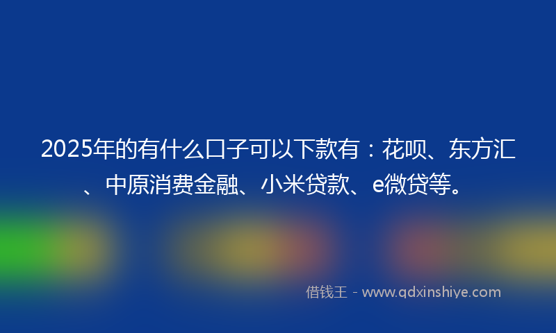 2025年的有什么口子可以下款有：花呗、东方汇、中原消费金融、小米贷款、e微贷等。