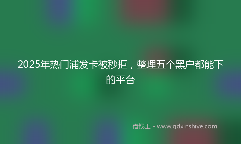 2025年热门浦发卡被秒拒，整理五个黑户都能下的平台