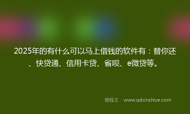 2025年的有什么可以马上借钱的软件有：替你还、快贷通、信用卡贷、省呗、e微贷等。
