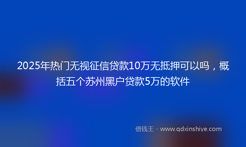 2025年热门无视征信贷款10万无抵押可以吗，概括五个苏州黑户贷款5万的软件