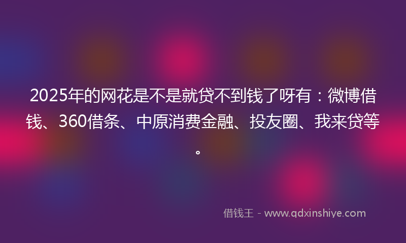 2025年的网花是不是就贷不到钱了呀有：微博借钱、360借条、中原消费金融、投友圈、我来贷等。