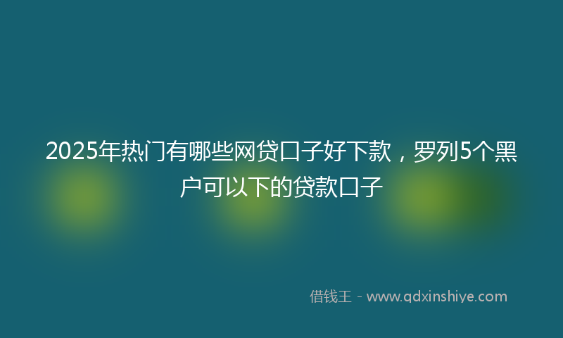 2025年热门有哪些网贷口子好下款，罗列5个黑户可以下的贷款口子