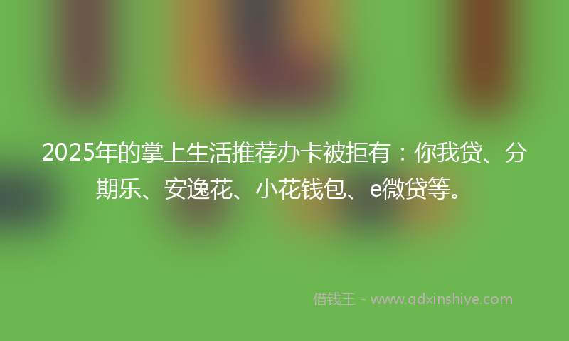 2025年的掌上生活推荐办卡被拒有：你我贷、分期乐、安逸花、小花钱包、e微贷等。
