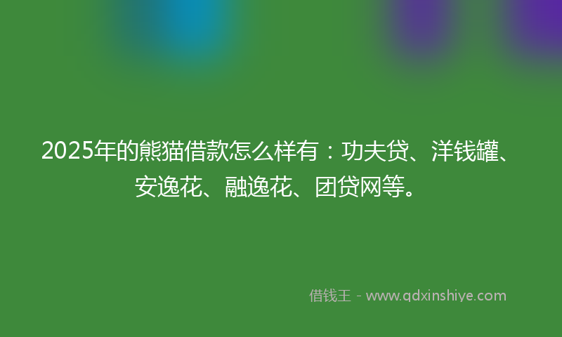 2025年的熊猫借款怎么样有：功夫贷、洋钱罐、安逸花、融逸花、团贷网等。
