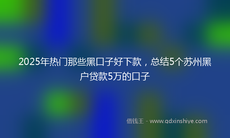 2025年热门那些黑口子好下款，总结5个苏州黑户贷款5万的口子