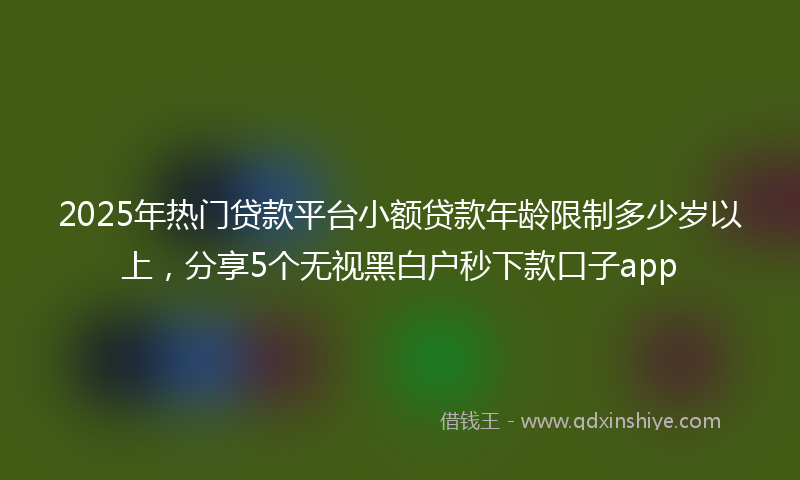 2025年热门贷款平台小额贷款年龄限制多少岁以上，分享5个无视黑白户秒下款口子app