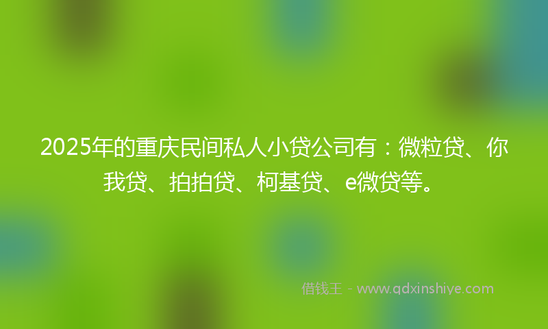 2025年的重庆民间私人小贷公司有：微粒贷、你我贷、拍拍贷、柯基贷、e微贷等。