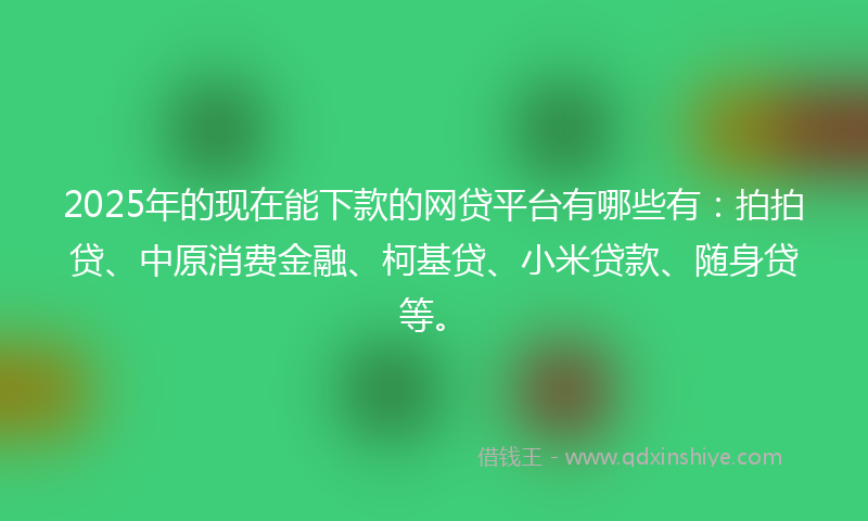 2025年的现在能下款的网贷平台有哪些有：拍拍贷、中原消费金融、柯基贷、小米贷款、随身贷等。