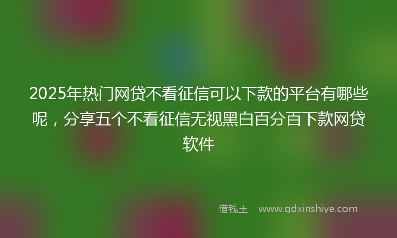 2025年热门网贷不看征信可以下款的平台有哪些呢，分享五个不看征信无视黑白百分百下款网贷软件