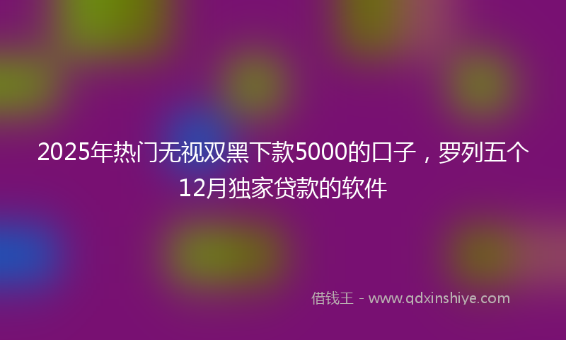 2025年热门无视双黑下款5000的口子，罗列五个12月独家贷款的软件