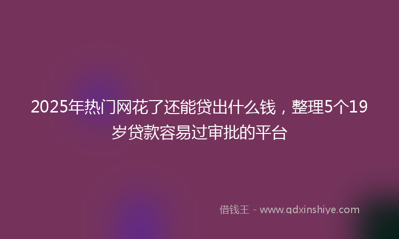 2025年热门网花了还能贷出什么钱，整理5个19岁贷款容易过审批的平台