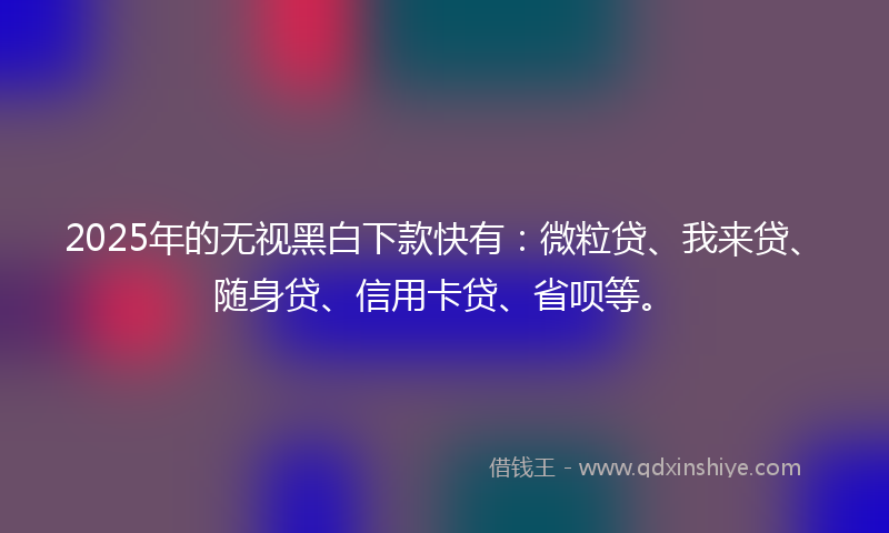 2025年的无视黑白下款快有：微粒贷、我来贷、随身贷、信用卡贷、省呗等。