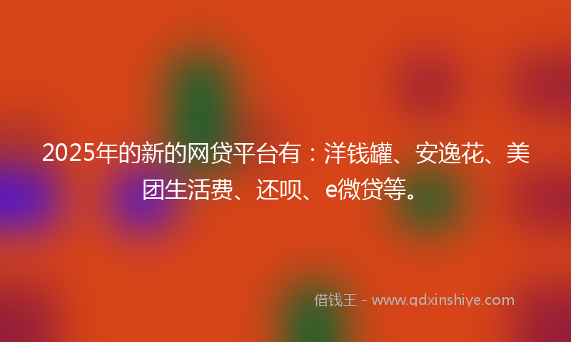 2025年的新的网贷平台有：洋钱罐、安逸花、美团生活费、还呗、e微贷等。