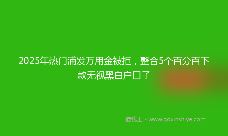 2025年热门浦发万用金被拒，整合5个百分百下款无视黑白户口子