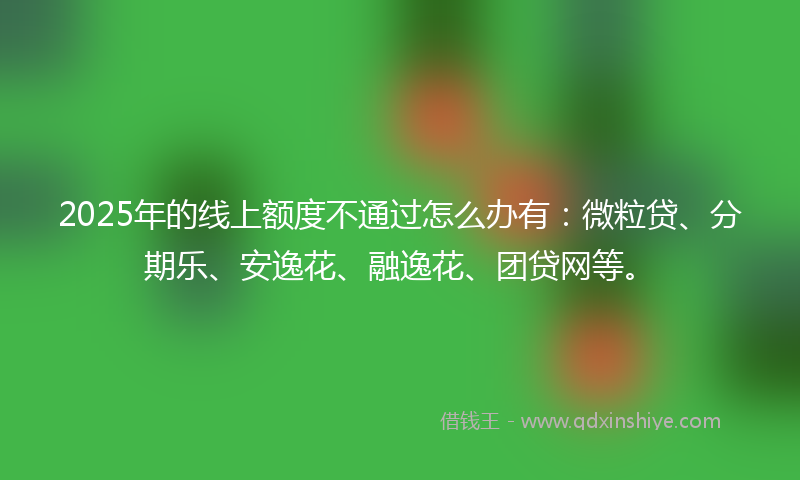 2025年的线上额度不通过怎么办有：微粒贷、分期乐、安逸花、融逸花、团贷网等。