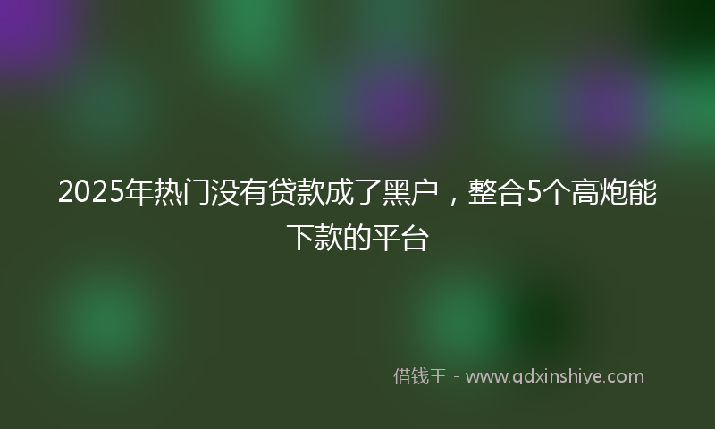 2025年热门没有贷款成了黑户，整合5个高炮能下款的平台