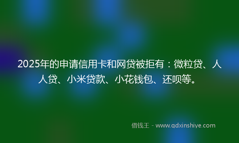 2025年的申请信用卡和网贷被拒有：微粒贷、人人贷、小米贷款、小花钱包、还呗等。