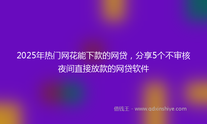 2025年热门网花能下款的网贷，分享5个不审核夜间直接放款的网贷软件