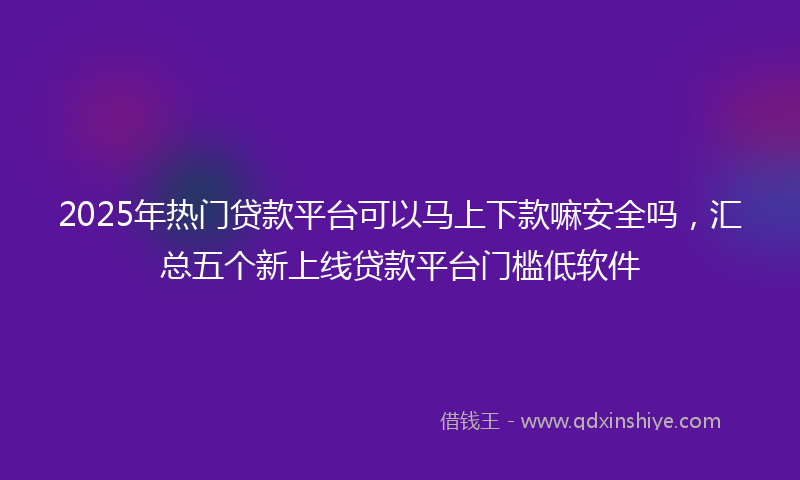 2025年热门贷款平台可以马上下款嘛安全吗，汇总五个新上线贷款平台门槛低软件