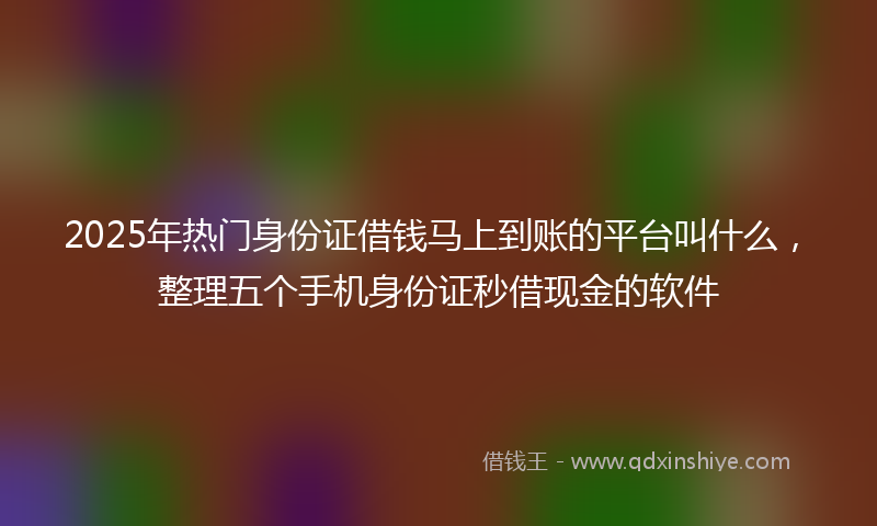 2025年热门身份证借钱马上到账的平台叫什么，整理五个手机身份证秒借现金的软件