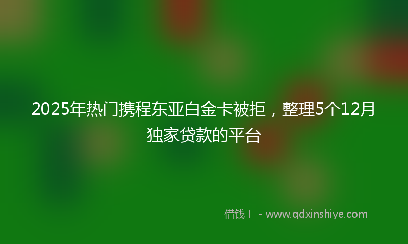 2025年热门携程东亚白金卡被拒，整理5个12月独家贷款的平台