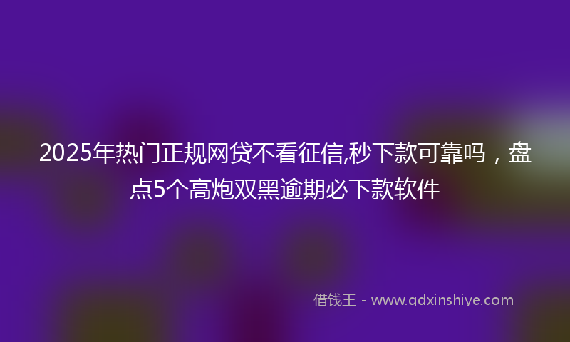 2025年热门正规网贷不看征信,秒下款可靠吗，盘点5个高炮双黑逾期必下款软件