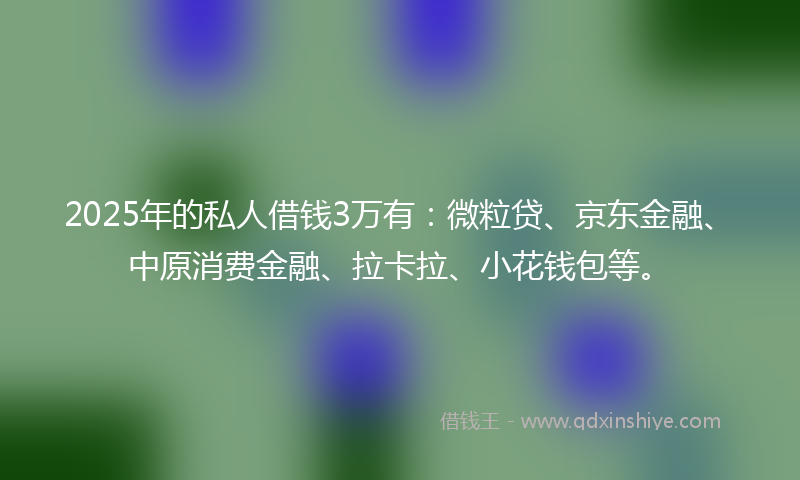 2025年的私人借钱3万有：微粒贷、京东金融、中原消费金融、拉卡拉、小花钱包等。