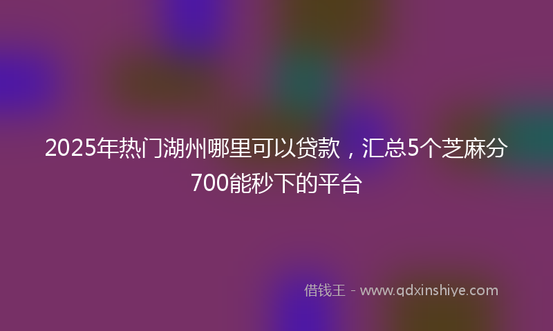 2025年热门湖州哪里可以贷款，汇总5个芝麻分700能秒下的平台
