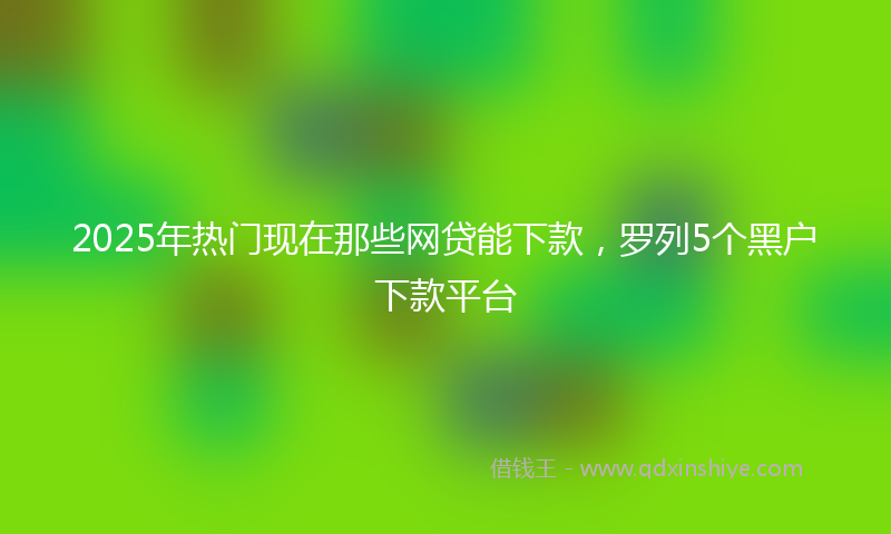 2025年热门现在那些网贷能下款，罗列5个黑户下款平台
