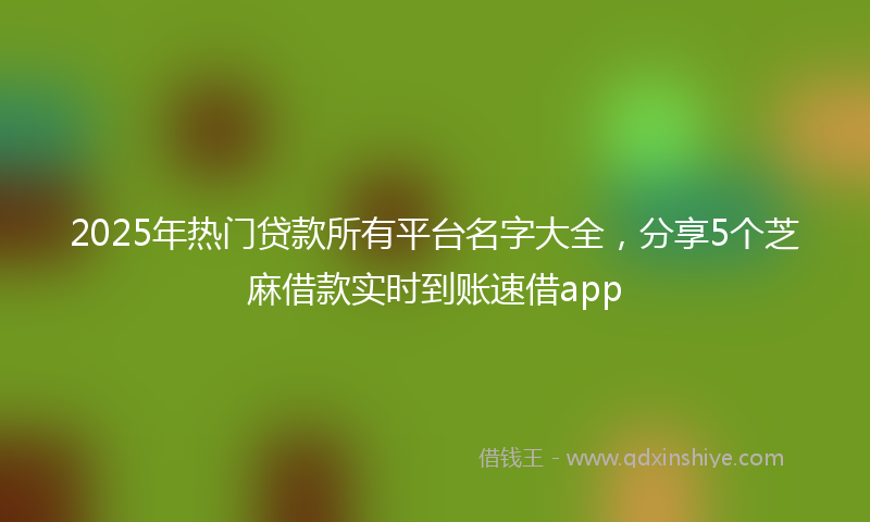 2025年热门贷款所有平台名字大全，分享5个芝麻借款实时到账速借app