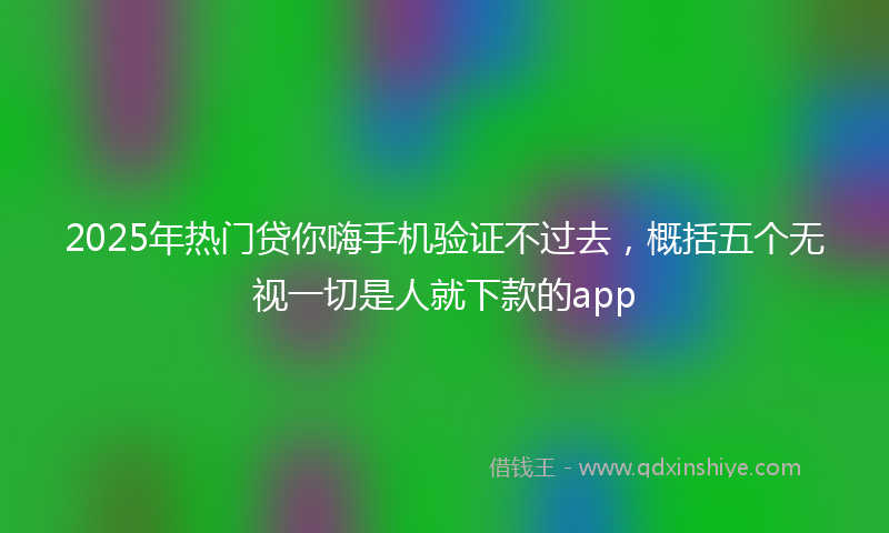 2025年热门贷你嗨手机验证不过去，概括五个无视一切是人就下款的app