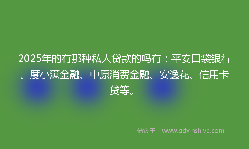 2025年的有那种私人贷款的吗有：平安口袋银行、度小满金融、中原消费金融、安逸花、信用卡贷等。
