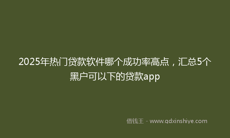 2025年热门贷款软件哪个成功率高点，汇总5个黑户可以下的贷款app