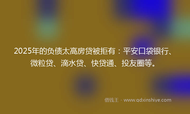 2025年的负债太高房贷被拒有：平安口袋银行、微粒贷、滴水贷、快贷通、投友圈等。
