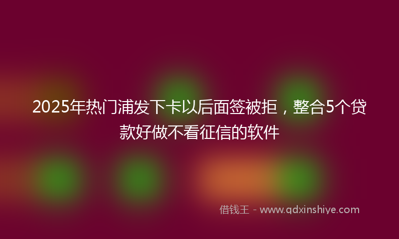 2025年热门浦发下卡以后面签被拒，整合5个贷款好做不看征信的软件