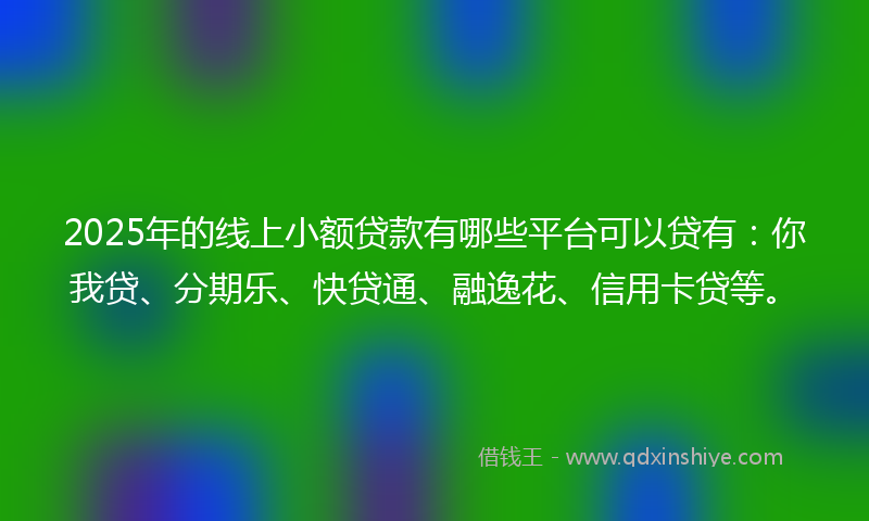 2025年的线上小额贷款有哪些平台可以贷有：你我贷、分期乐、快贷通、融逸花、信用卡贷等。