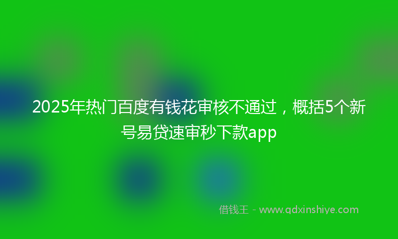 2025年热门百度有钱花审核不通过，概括5个新号易贷速审秒下款app