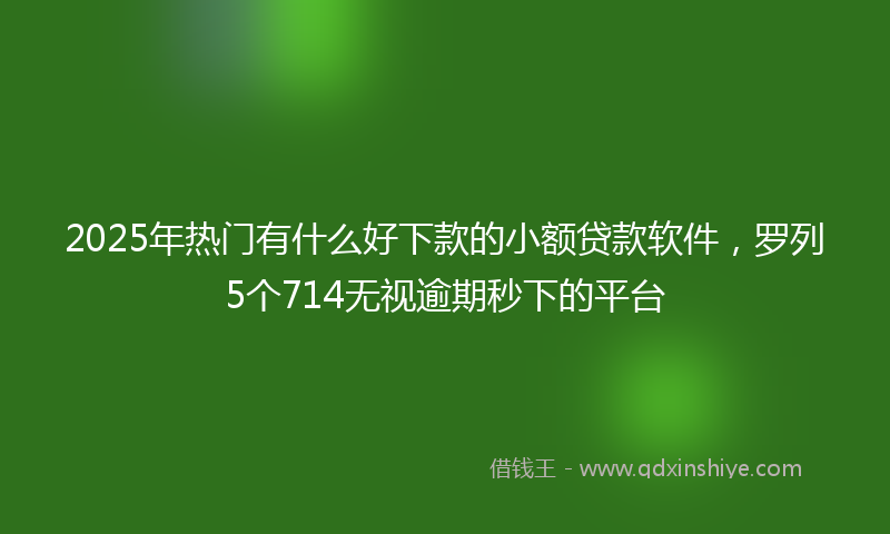 2025年热门有什么好下款的小额贷款软件，罗列5个714无视逾期秒下的平台