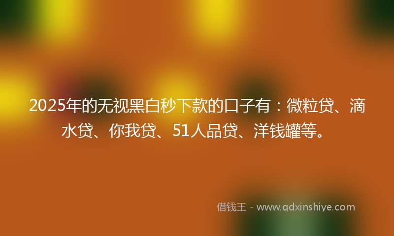 2025年的无视黑白秒下款的口子有：微粒贷、滴水贷、你我贷、51人品贷、洋钱罐等。